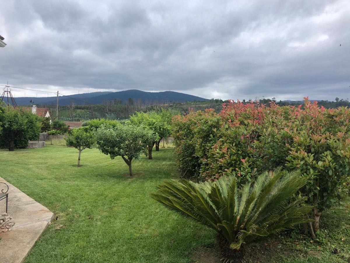 Vila Delfina Луса Экстерьер фото